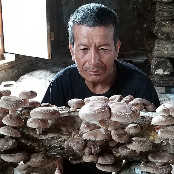 Mushrooms from Bhutan | Druksell