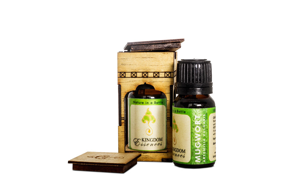 Mugwort(Artemisia Vulgaris) - Druksell.com