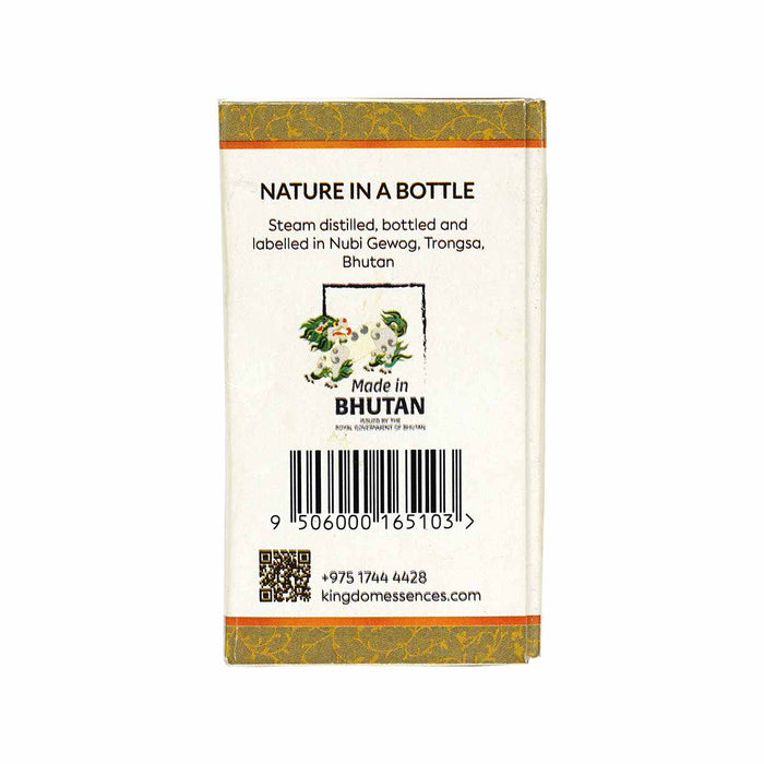 Pure essential Oil Caraway Carum Carvi, Kingdom Essences, 10 ml