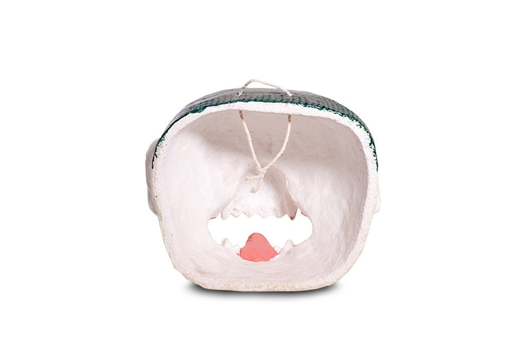 The Snow Lion mask from Bhutan - Druksell.com