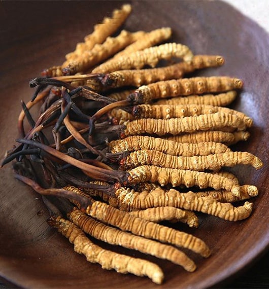 Exploring the Potential of Cordyceps in COVID-19 Treatment: A Detailed Study
