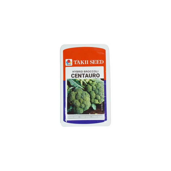 Takii Seed Hybrid Broccoli CENTAURO 