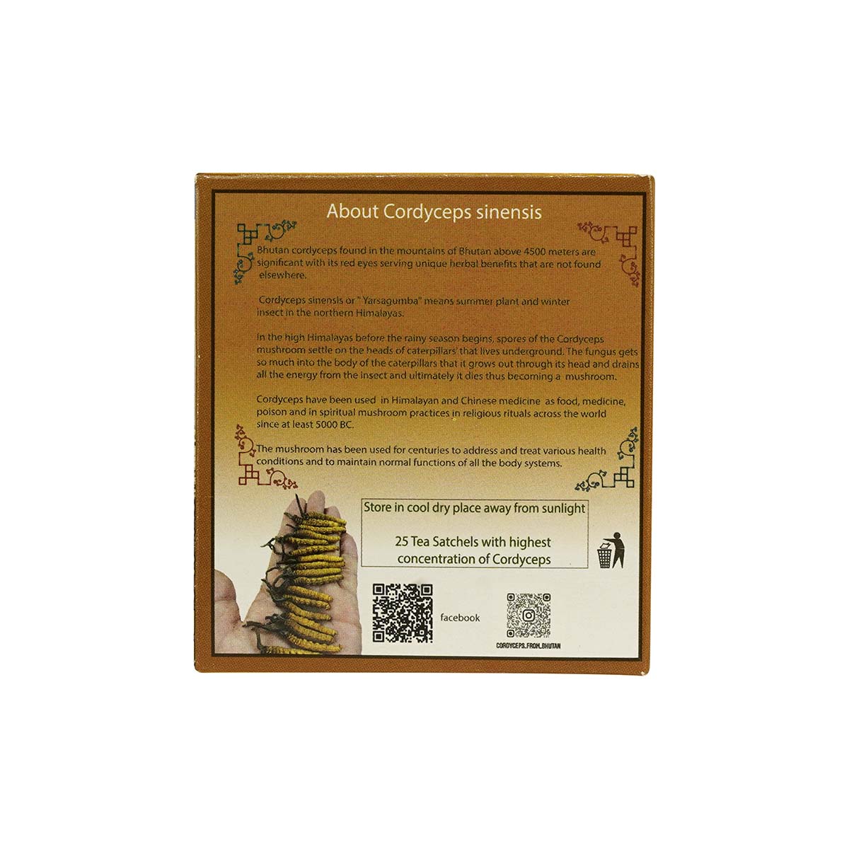 Cordyceps Ginger Tea | Energy and Immunity Booster | Cordyceps from ...