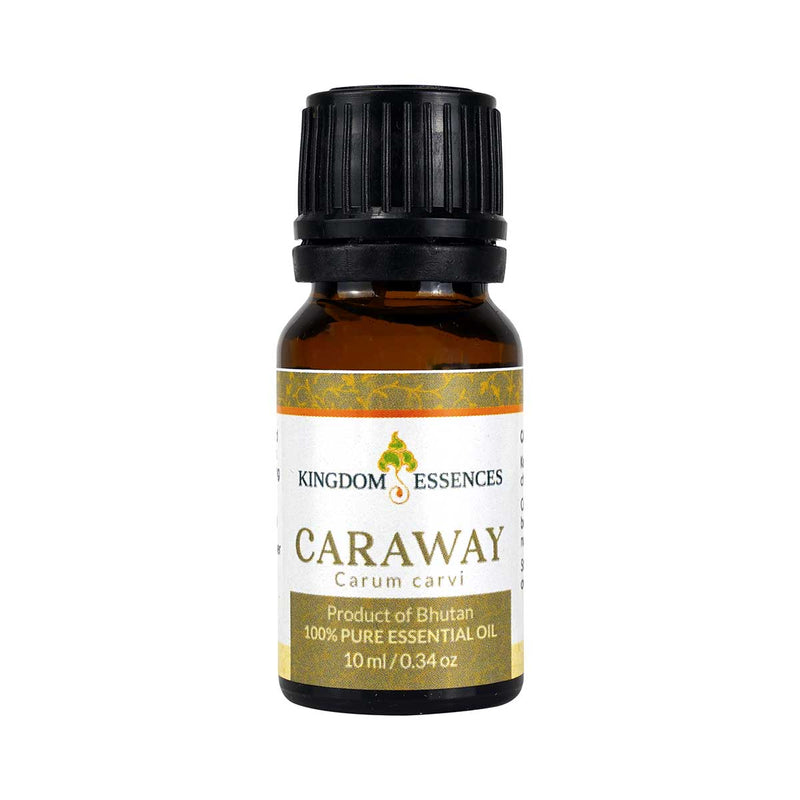Kingdom essence Caraway oil | druksell