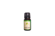 Mugwort(Artemisia Vulgaris) - Druksell.com