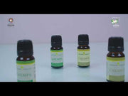 Kingdom essence Caraway oil | druksell