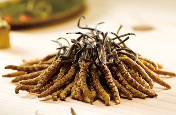 Bhutan Cordycep Sinensis - Druksell.com