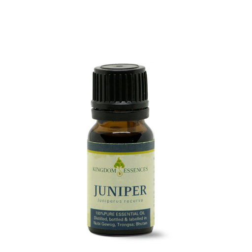 Juniper 100% Pure Essential Oil | Kingdom Essences