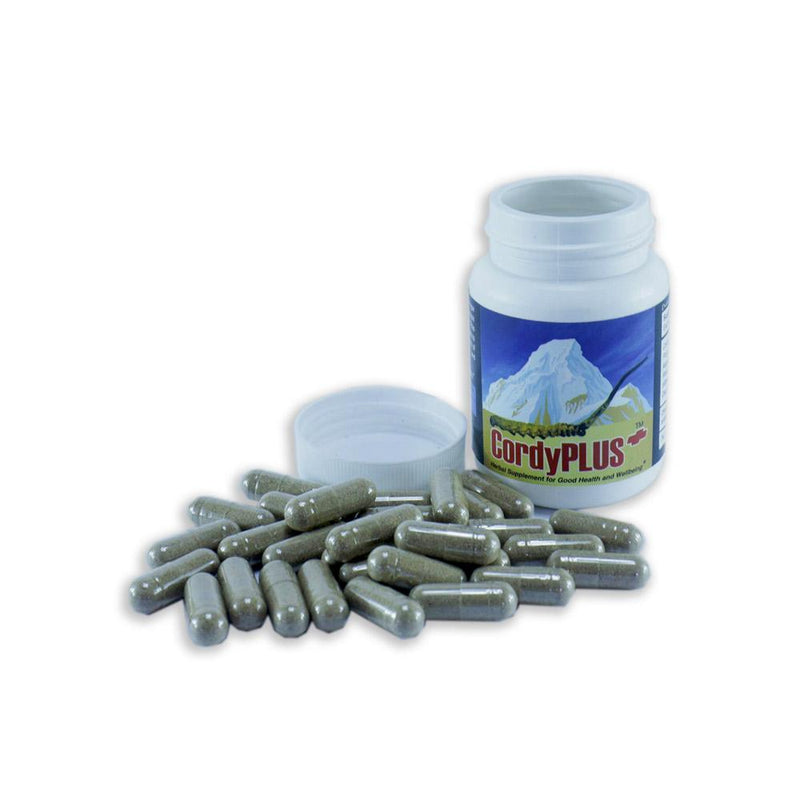 Cordyplus | Pure cordycep capsules\supplement from Bhutan - Druksell.com