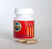 Bhutan Cordyceps Capsules | Druksell